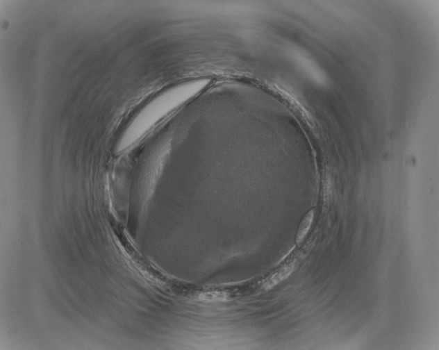 X0000083650353200702261122