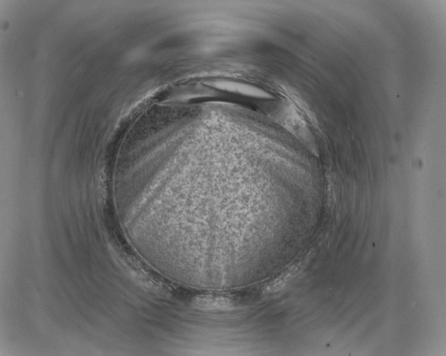 X0000083650354200702261122