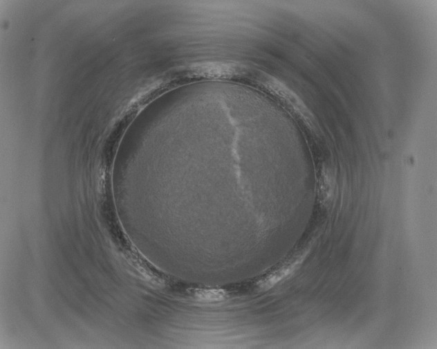 X0000083650355200702261122