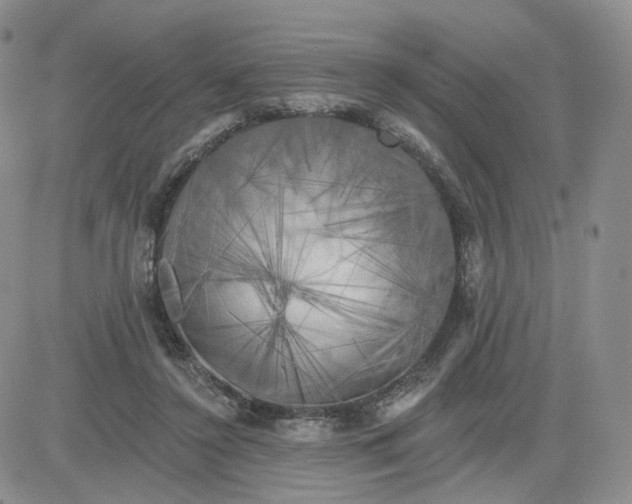 X0000083650356200702261122