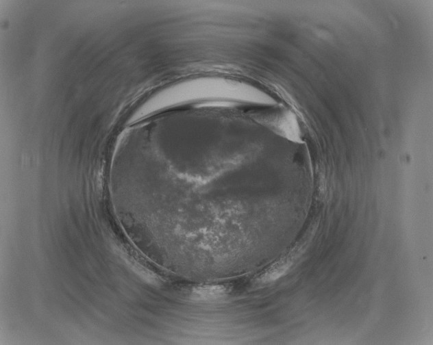 X0000083650357200702261122