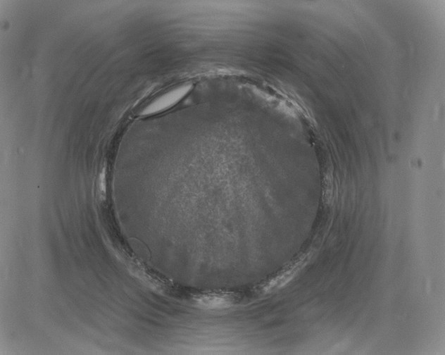 X0000083650358200702261122