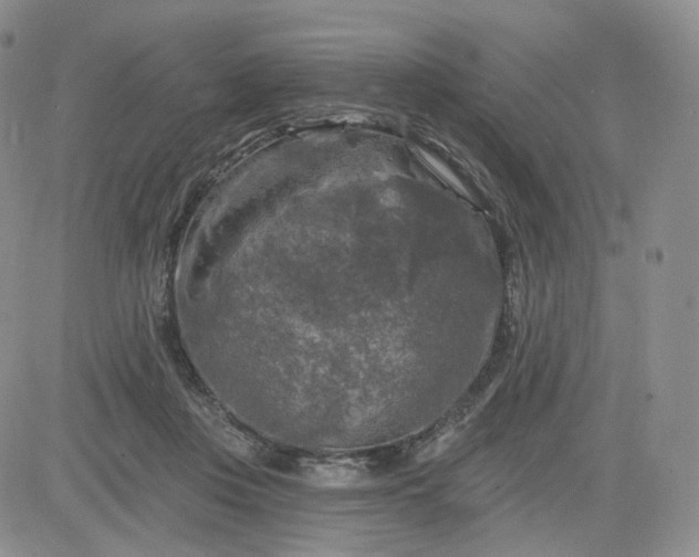 X0000083650359200702261122