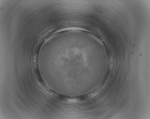 X0000083650360200702261122