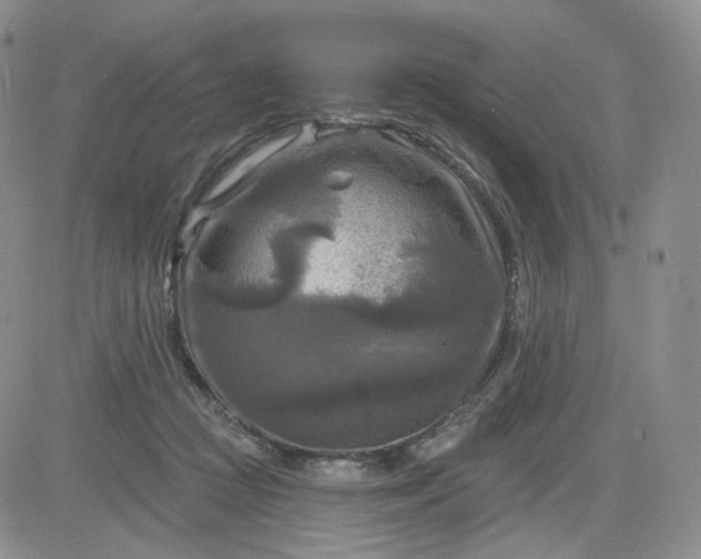 X0000083650361200702261122