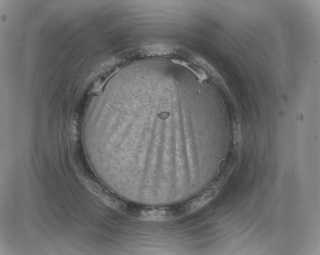 X0000083650362200702261122