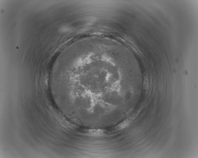 X0000083650363200702261122