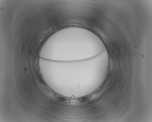 X0000083650365200702261122