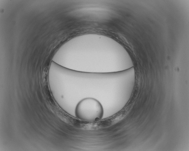 X0000083650366200702261122