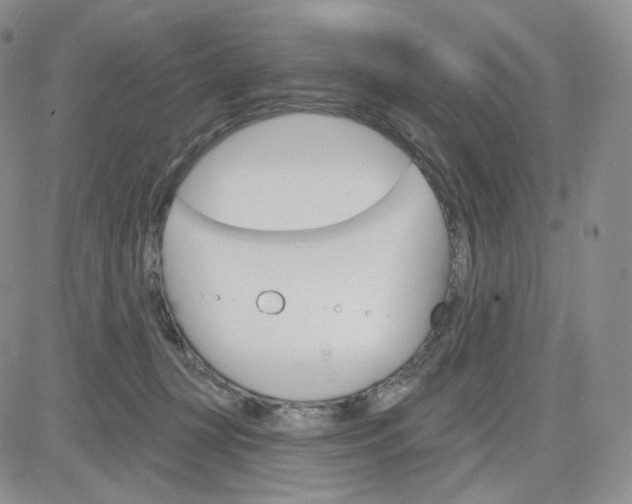 X0000083650367200702261122