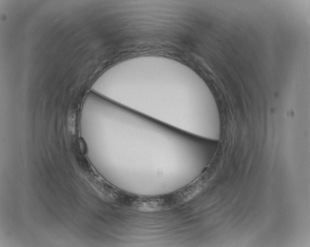 X0000083650368200702261122