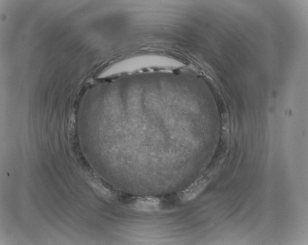 X0000083650369200702261122