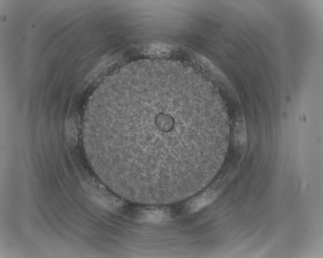 X0000083650370200702261122