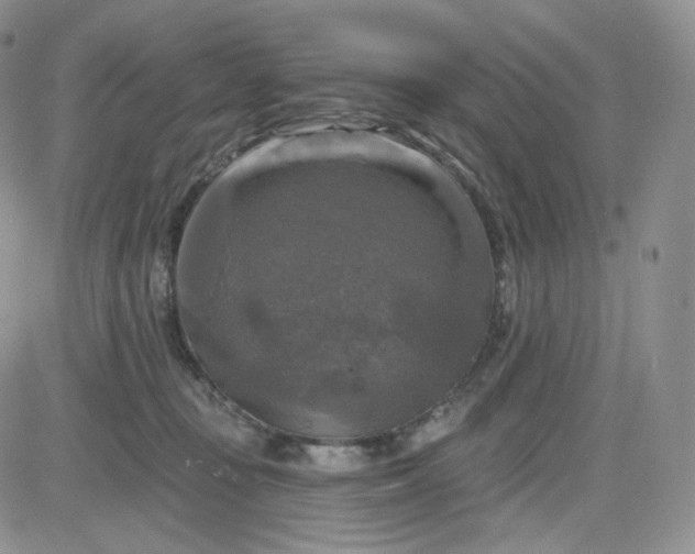 X0000083650371200702261122