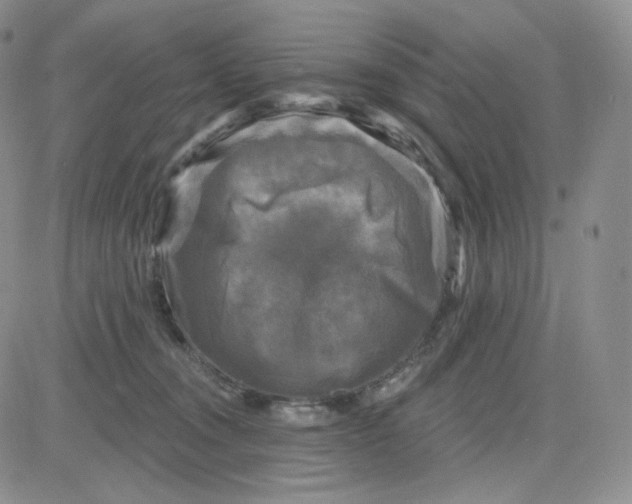 X0000083650372200702261122