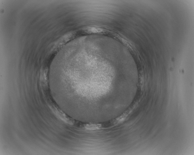 X0000083650373200702261122