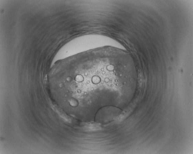 X0000083650375200702261122