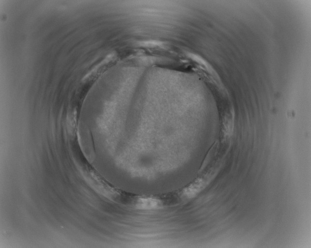 X0000083650376200702261122