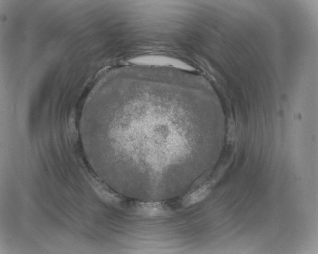 X0000083650377200702261122