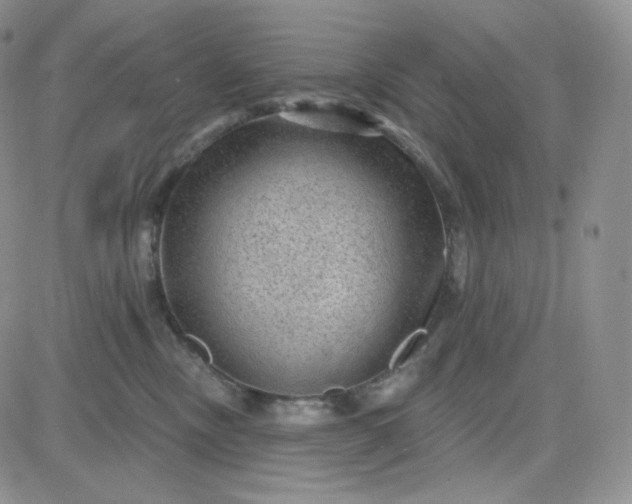 X0000083650378200702261122