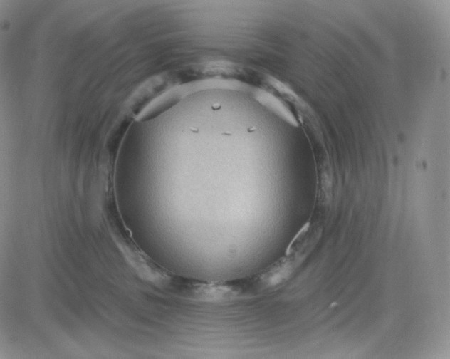 X0000083650379200702261122