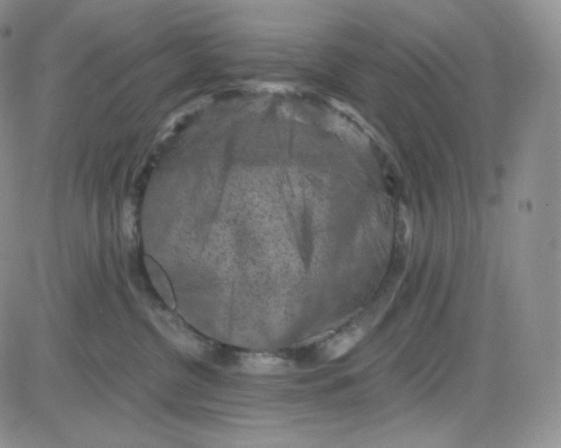 X0000083650380200702261122