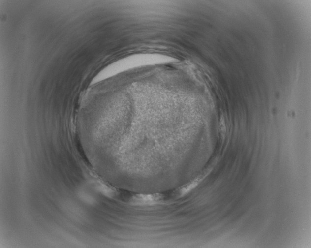 X0000083650381200702261122