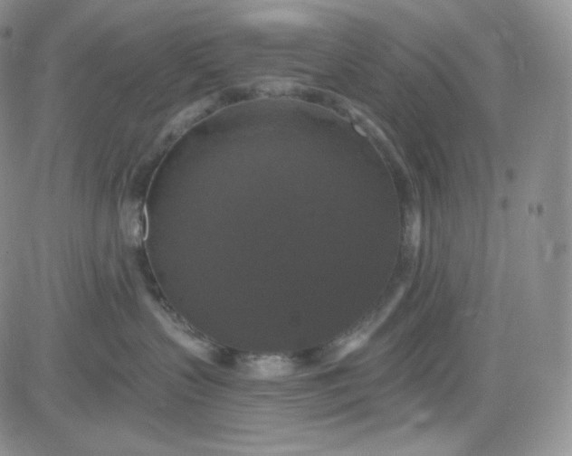 X0000083650383200702261122