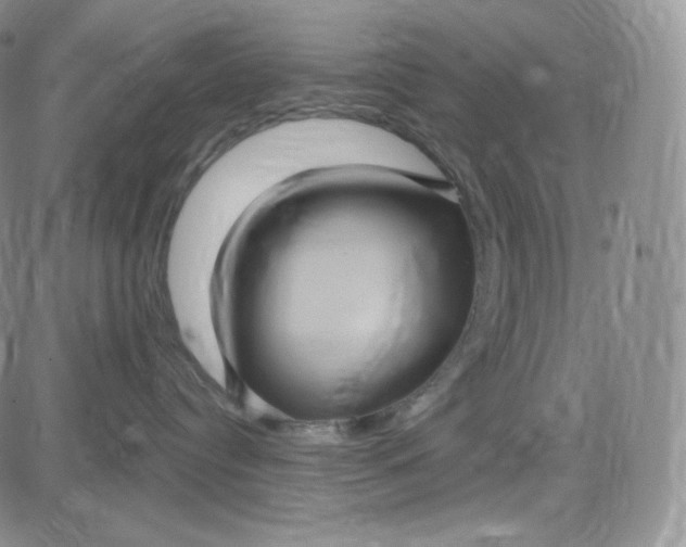 X0000083650384200702261122