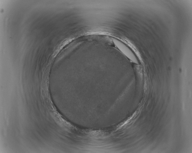 X0000083650385200702261122