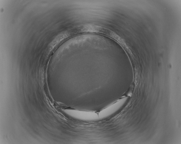 X0000083650386200702261122