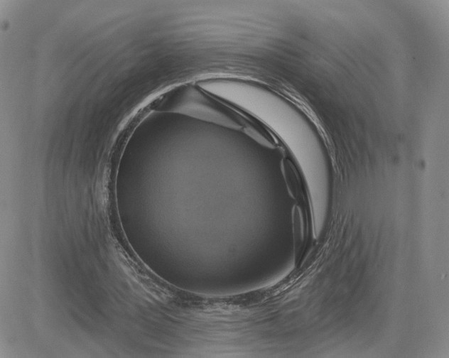 X0000083650387200702261121