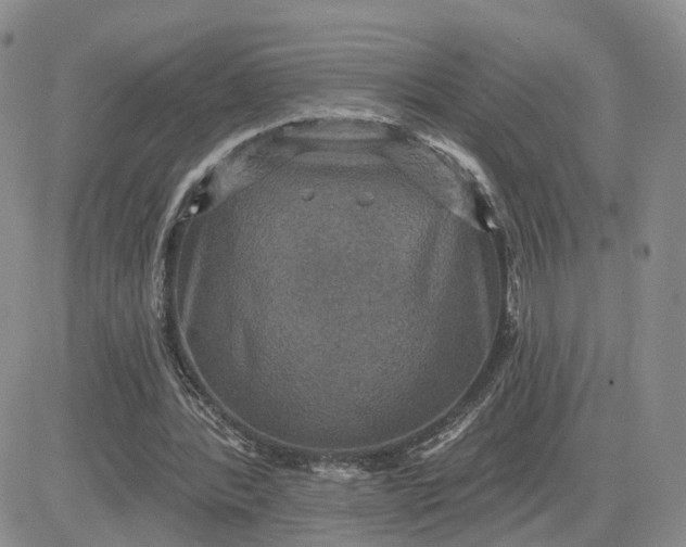 X0000083650388200702261121