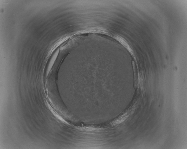 X0000083650389200702261121