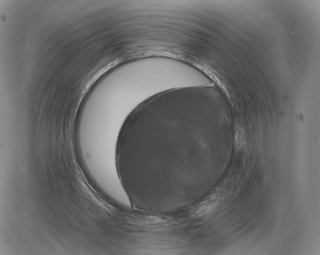 X0000083650390200702261121