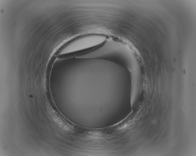 X0000083650391200702261121