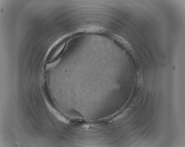 X0000083650392200702261121