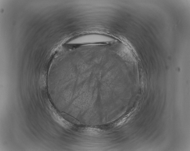 X0000083650393200702261121