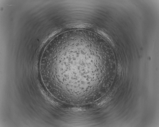 X0000083650394200702261121