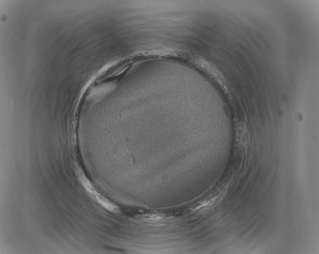 X0000083650395200702261121