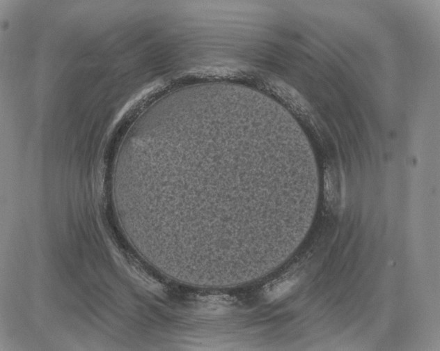 X0000083650396200702261121