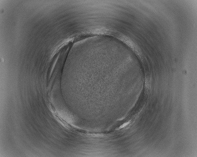 X0000083650397200702261121