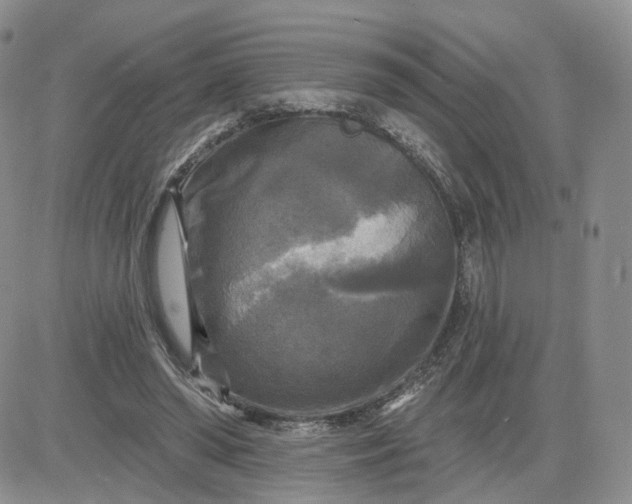 X0000083650398200702261121