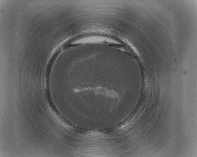 X0000083650399200702261121