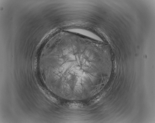 X0000083650400200702261121