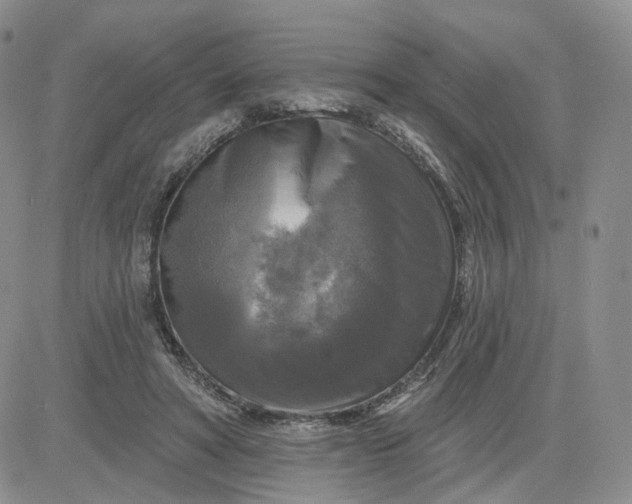 X0000083650402200702261121