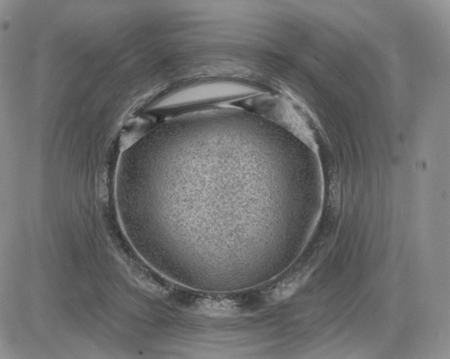 X0000083650403200702261121