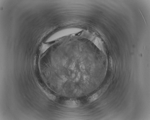 X0000083650404200702261121