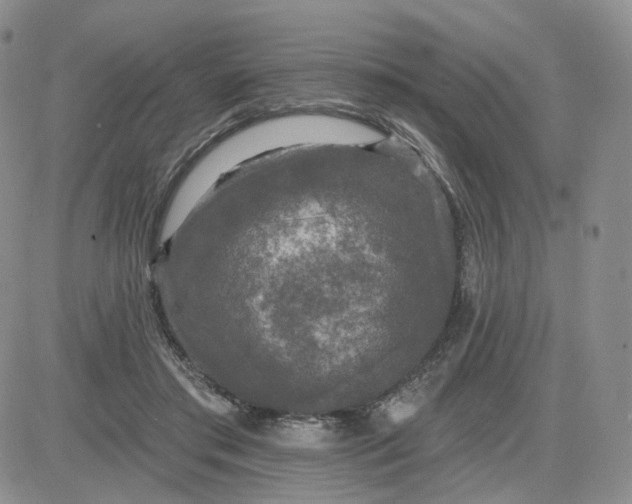 X0000083650405200702261121