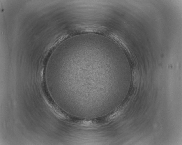 X0000083650406200702261121